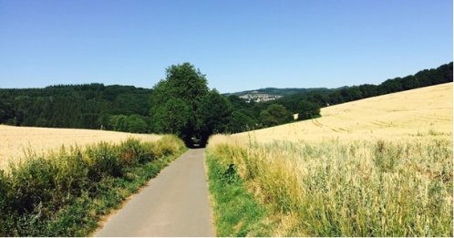 Genusswanderung Saarland